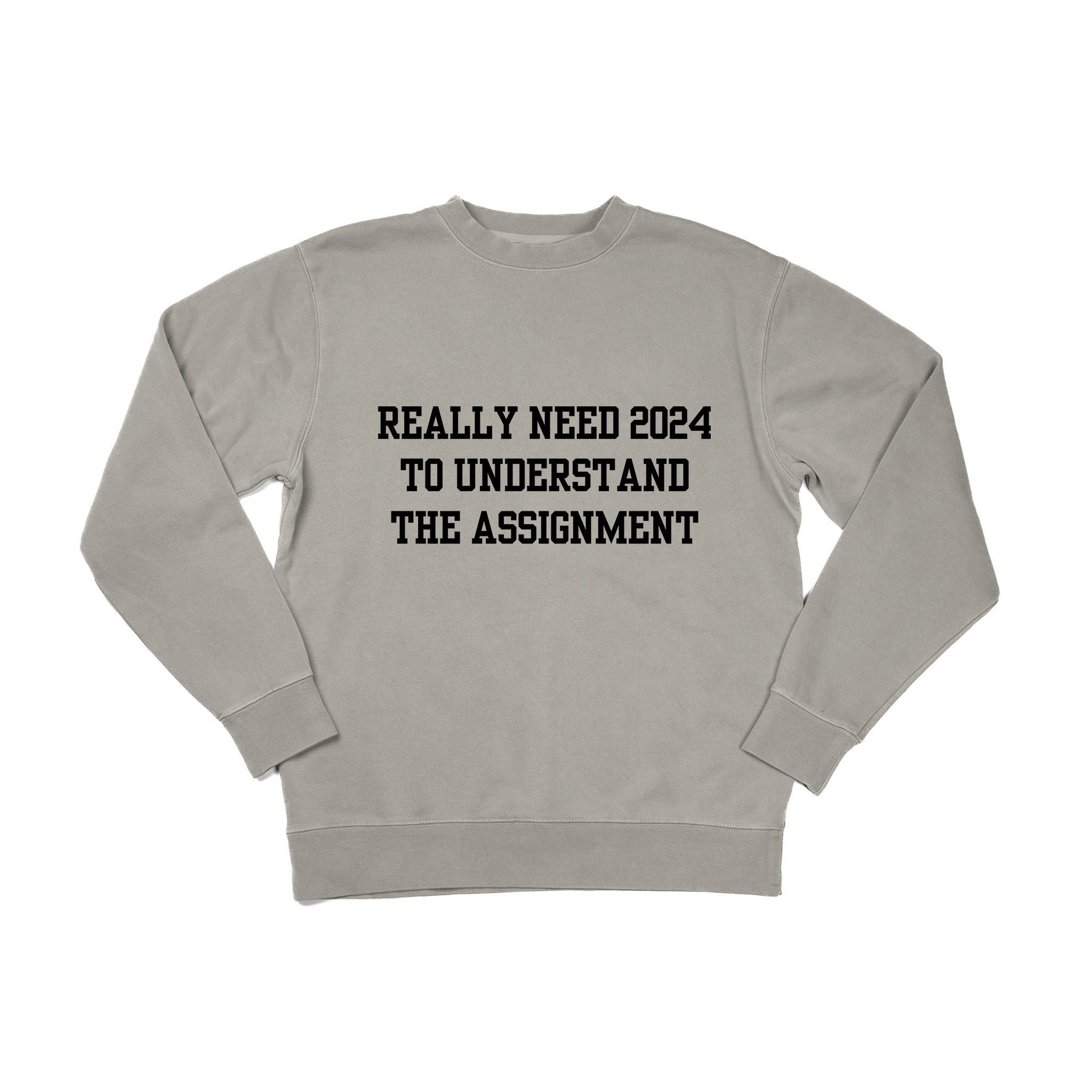 Really Need 2024 To Understand The Assignment Black Sweatshirt Ce   ReallyNeed2024toUnderstandtheAssignment Black  Sweatshirt Cement 