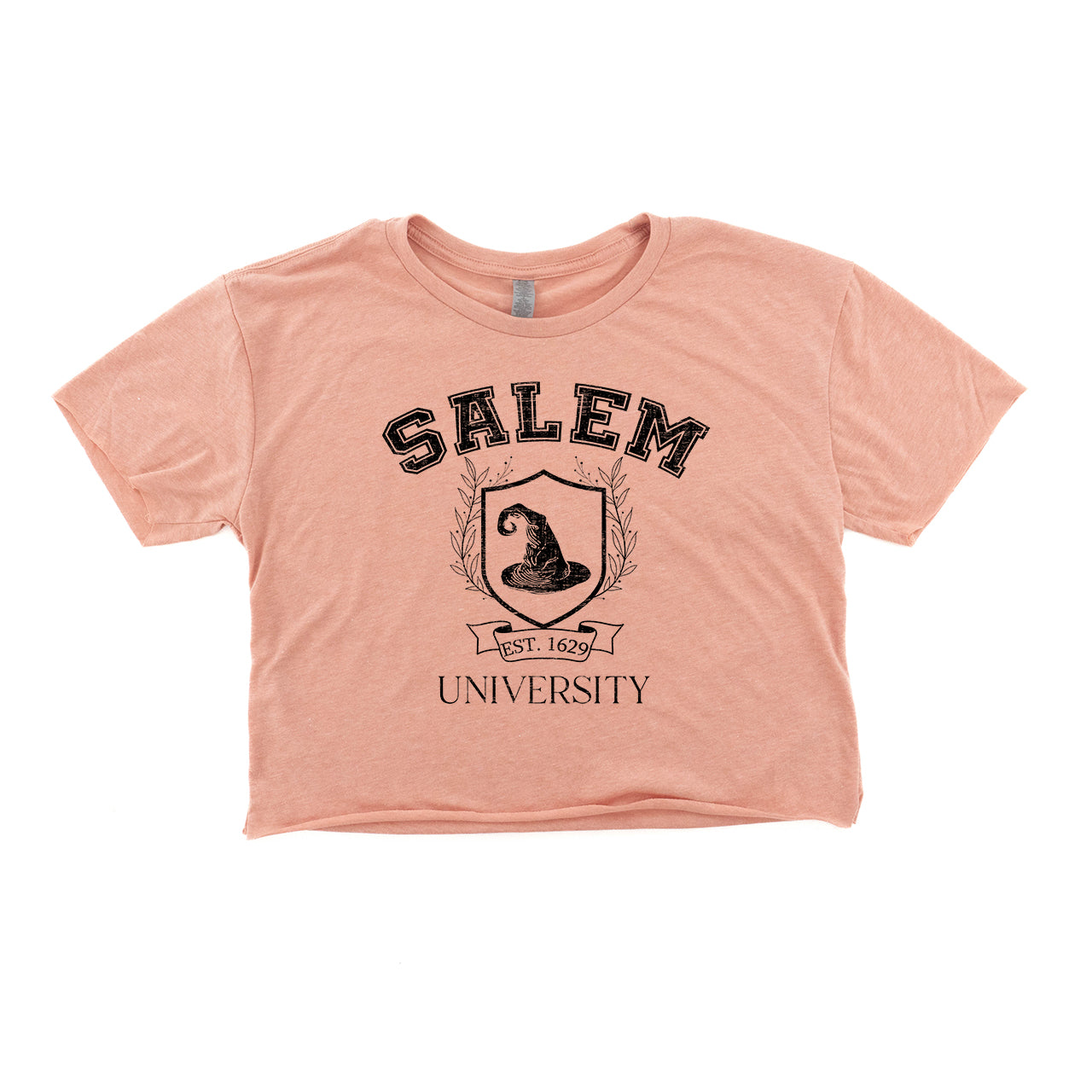 Salem University - Cropped Tee (Heather Sedona Pink)