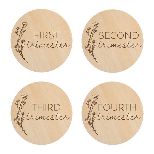 Blossom - Pregnancy Milestones - 1st, 2nd, 3rd & 4th Trimester Discs