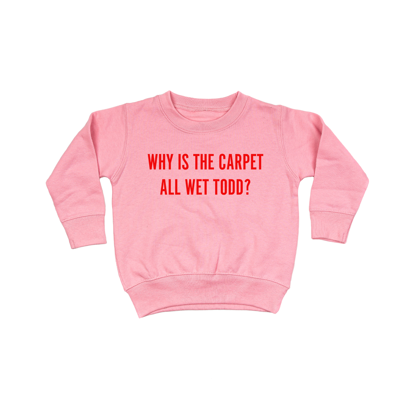 Why Is The Carpet All Wet Todd? (Red) - Kids Sweatshirt (Pink)